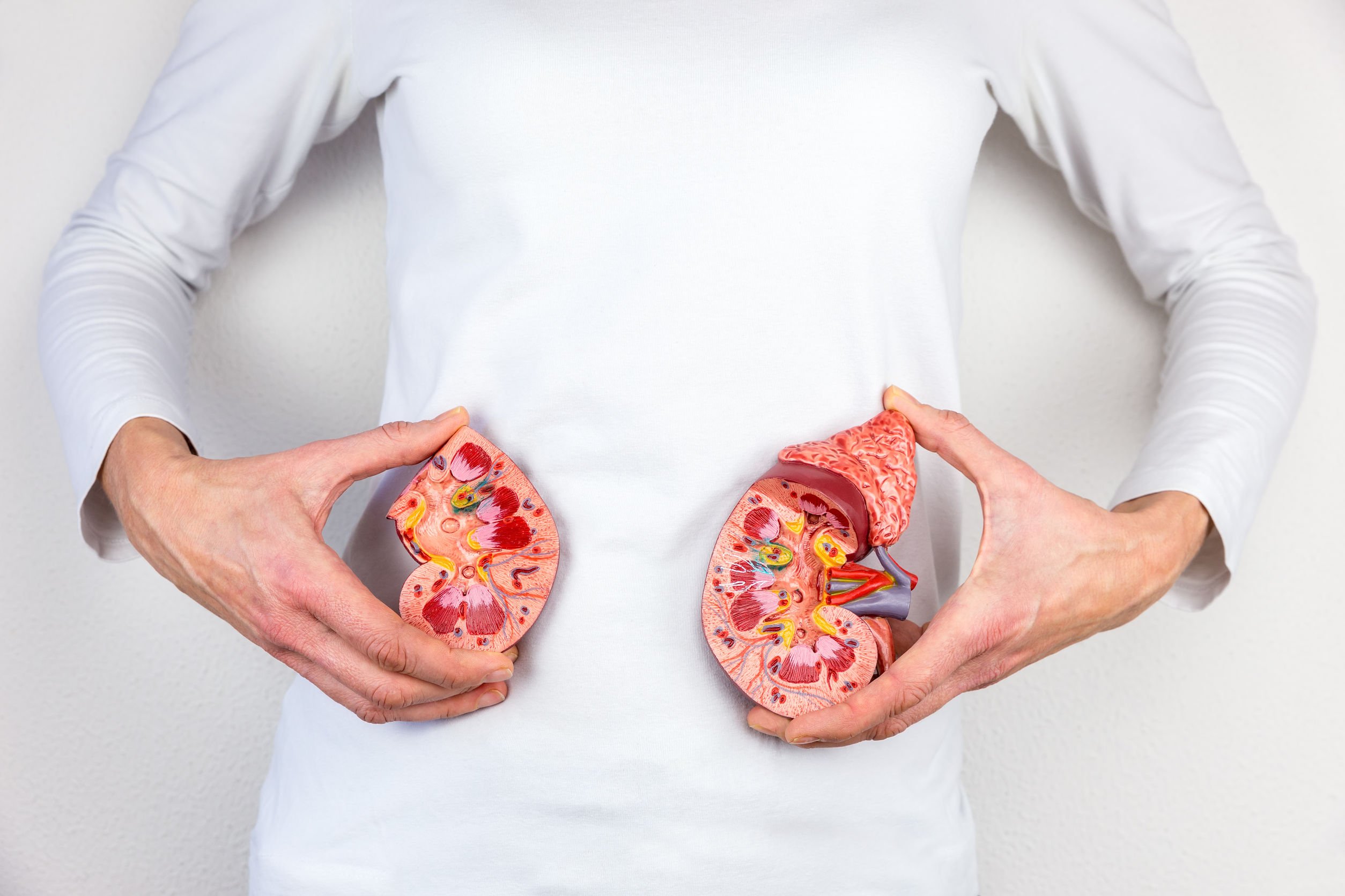 How Long Can You Stay in Stage 3 Kidney Disease? - Responsum Health