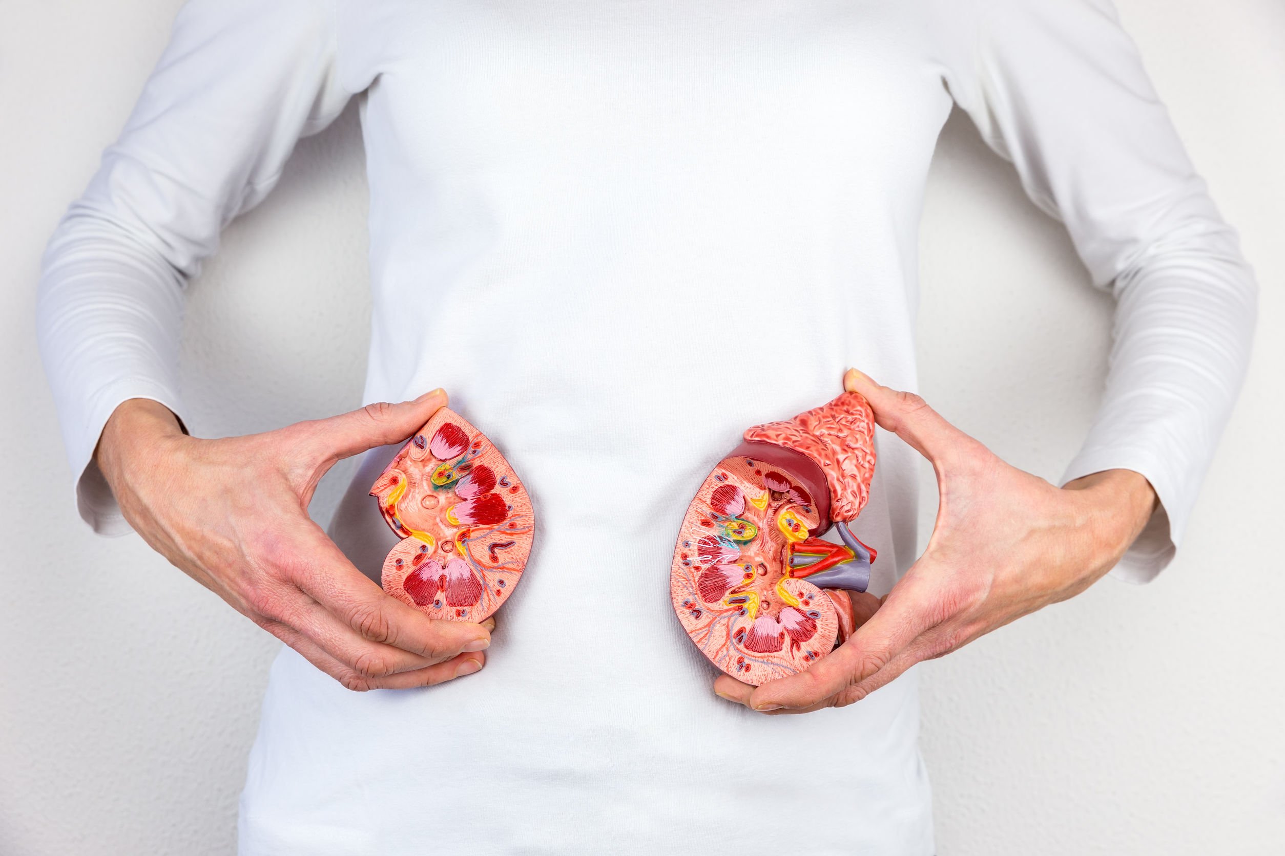 What Does It Mean To Have Stage Three Kidney Disease