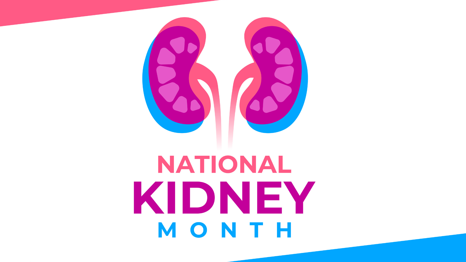 National Kidney Month Why Prevention is Critical, and How to Prepare